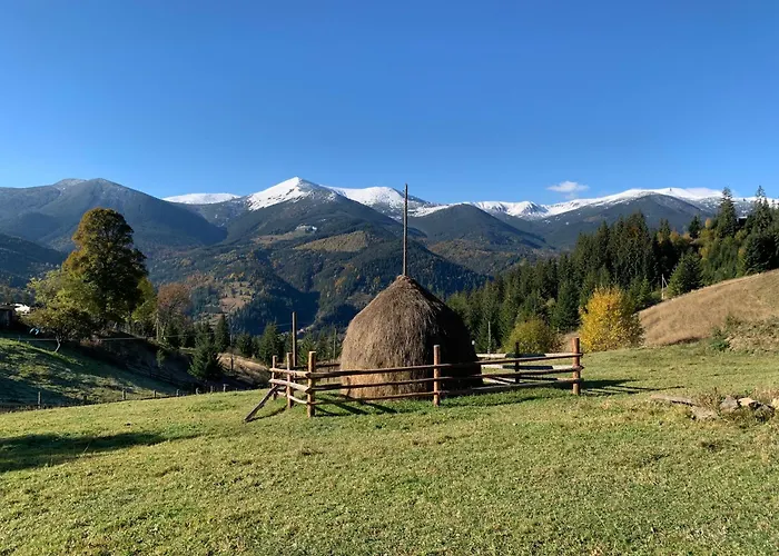 Lüks kamp alanı Motyl Glamping Dzembronya
