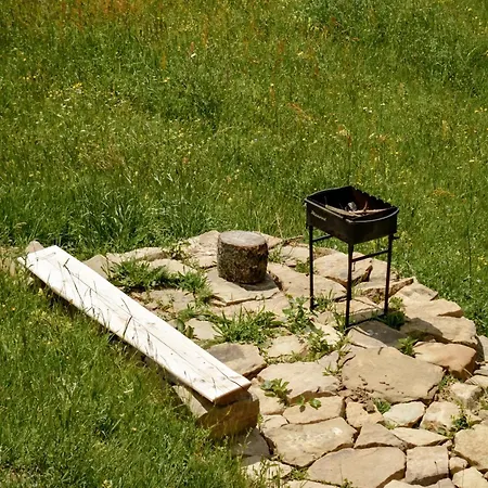 Motyl Glamping *