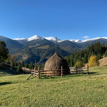 Luksusowy namiot Motyl Glamping Dzembronia